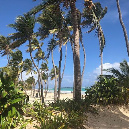 Art Villa Dominicana Punta Cana Eksteriør bilde