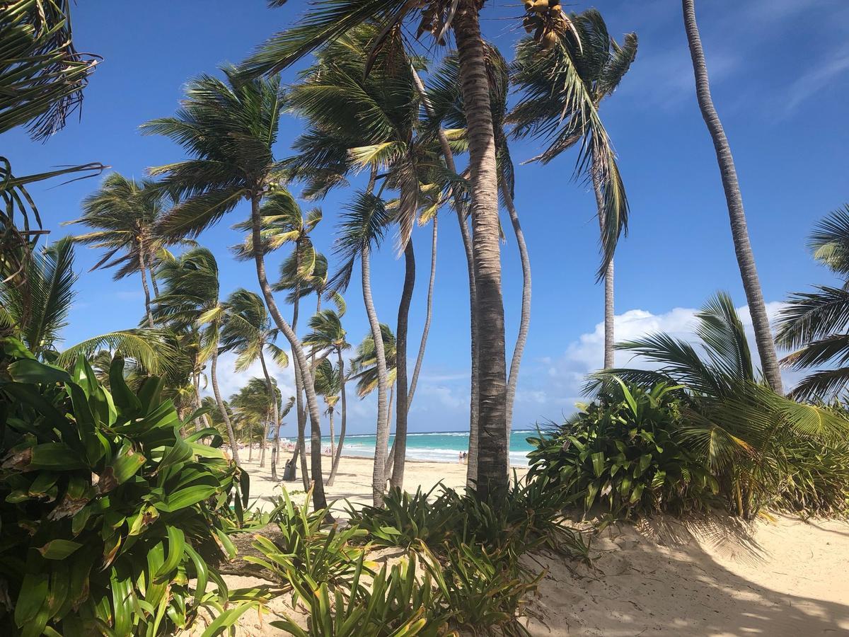 Art Villa Dominicana Punta Cana Eksteriør bilde